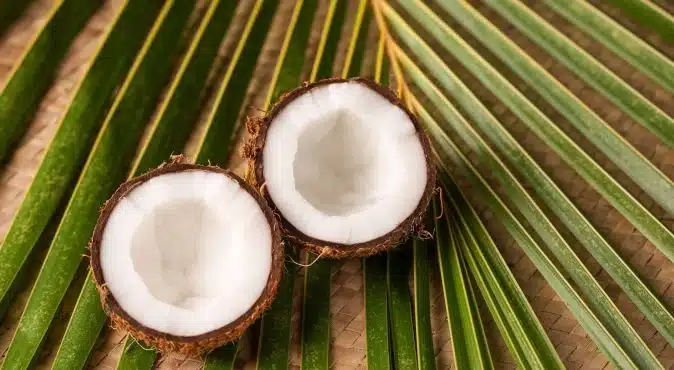 coconut shell activated carbon