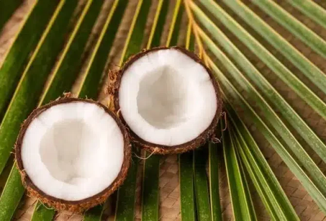 coconut shell activated carbon
